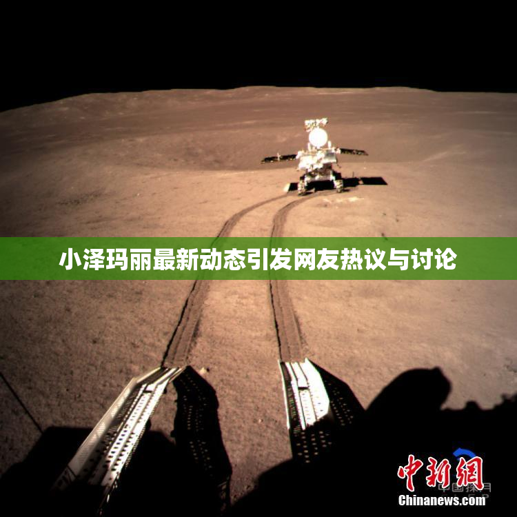 小泽玛丽最新动态引发网友热议与讨论