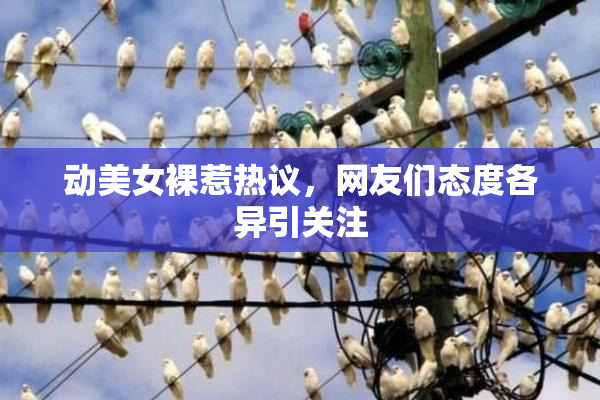 动美女裸惹热议，网友们态度各异引关注