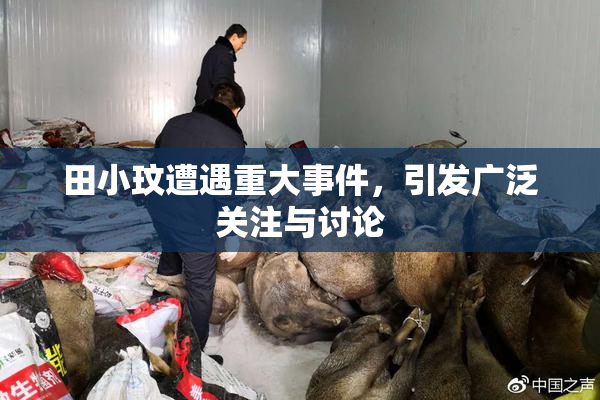 田小玟遭遇重大事件，引发广泛关注与讨论