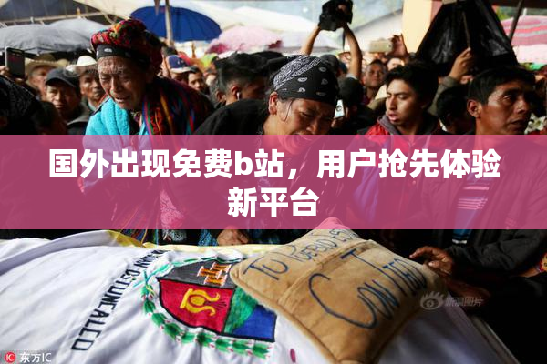 国外出现免费b站，用户抢先体验新平台