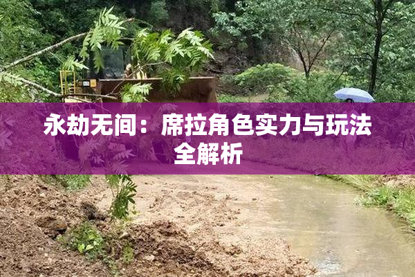 永劫无间：席拉角色实力与玩法全解析