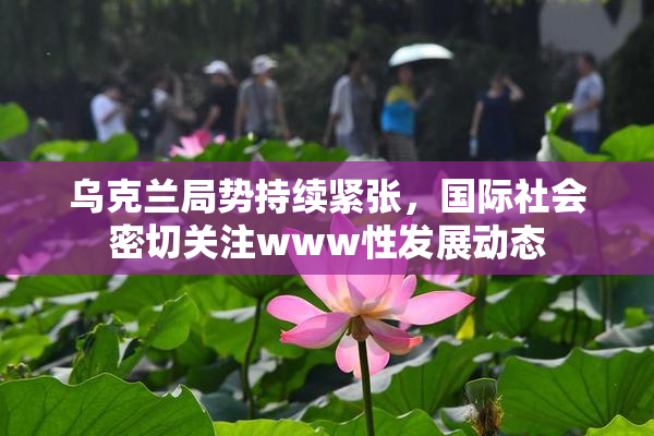 乌克兰局势持续紧张，国际社会密切关注www性发展动态