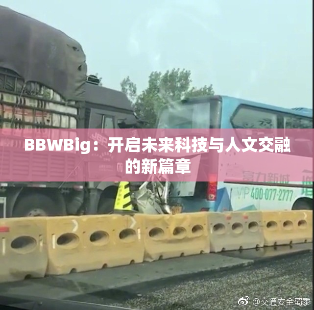 BBWBig：开启未来科技与人文交融的新篇章