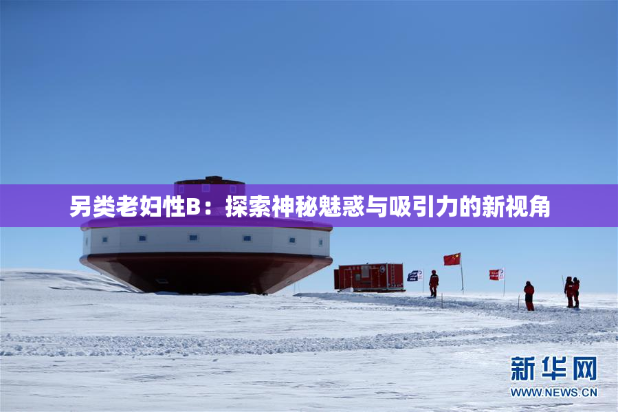 另类老妇性B：探索神秘魅惑与吸引力的新视角