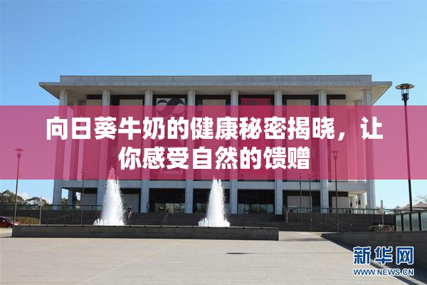 向日葵牛奶的健康秘密揭晓，让你感受自然的馈赠