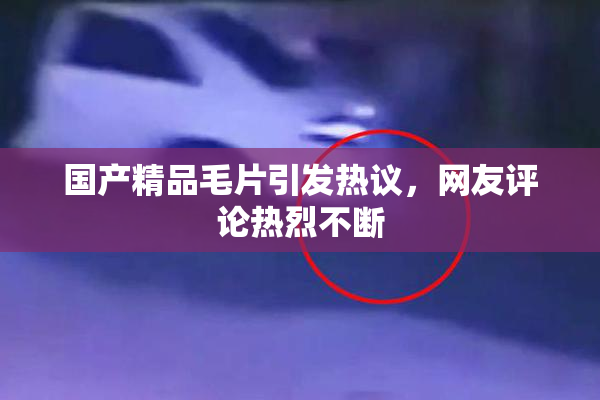 国产精品毛片引发热议，网友评论热烈不断