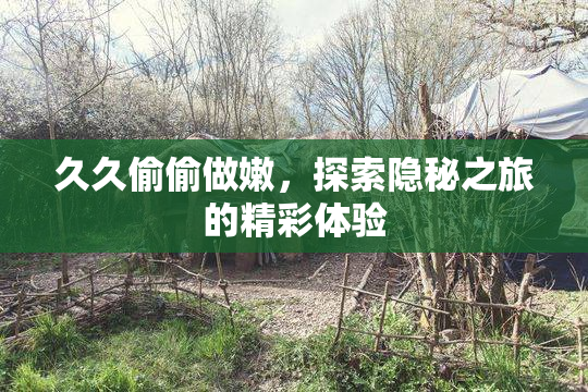 久久偷偷做嫩，探索隐秘之旅的精彩体验