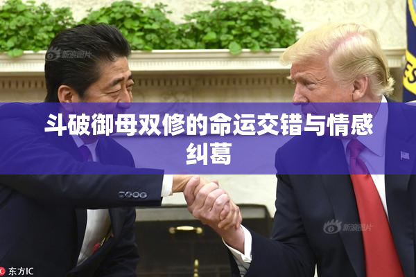 斗破御母双修的命运交错与情感纠葛