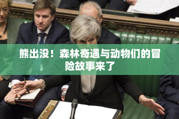 熊出没！森林奇遇与动物们的冒险故事来了