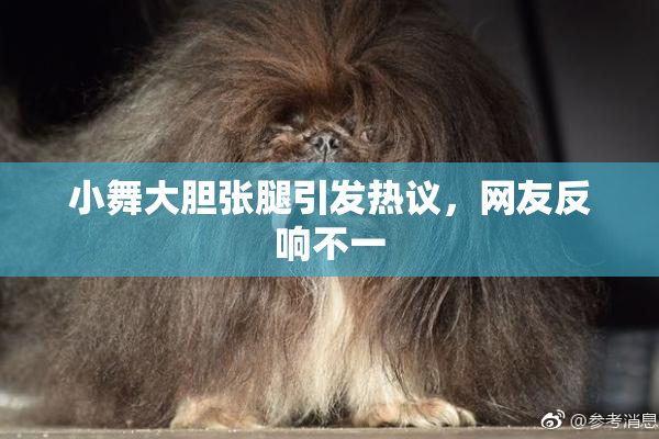 小舞大胆张腿引发热议，网友反响不一