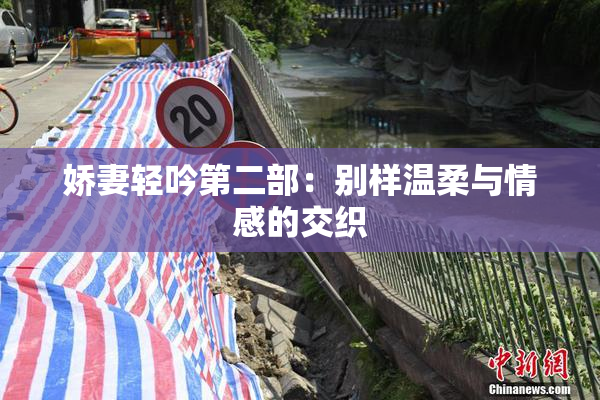 娇妻轻吟第二部：别样温柔与情感的交织
