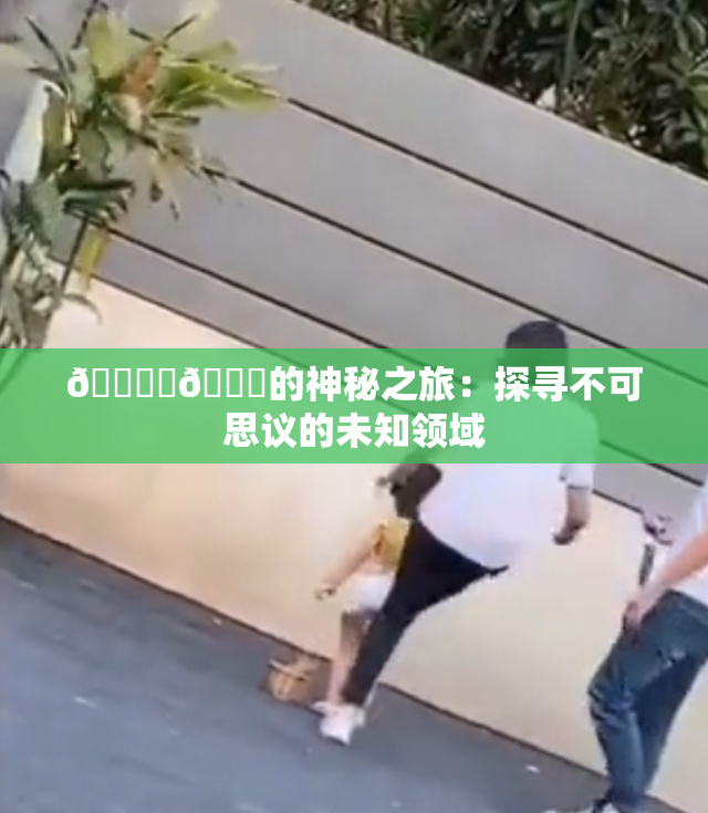 🔞‌🍌的神秘之旅：探寻不可思议的未知领域