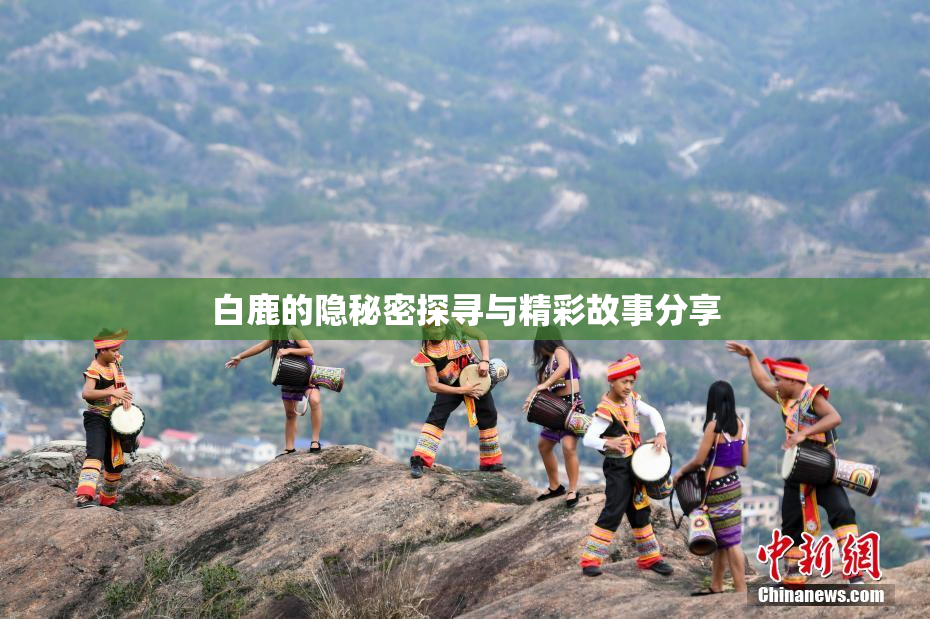 白鹿的隐秘密探寻与精彩故事分享