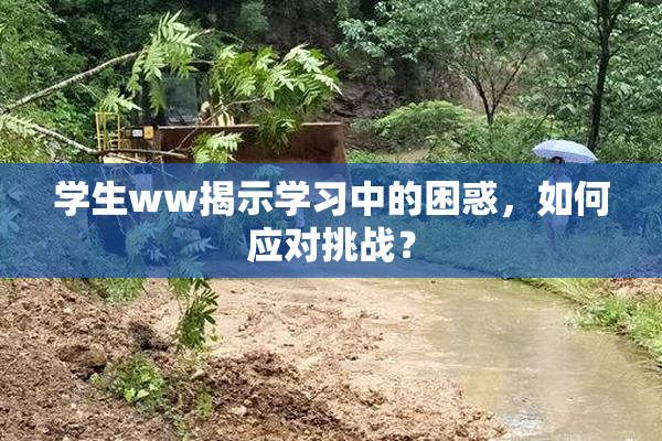 学生ww揭示学习中的困惑，如何应对挑战？
