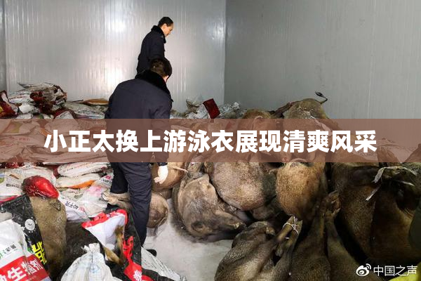 小正太换上游泳衣展现清爽风采