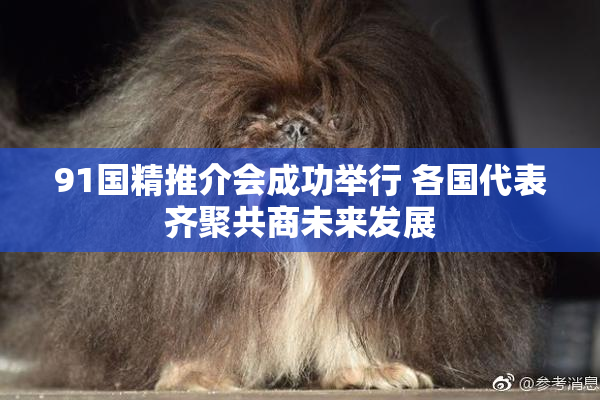 91国精推介会成功举行 各国代表齐聚共商未来发展