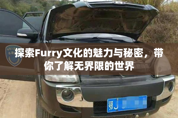 探索Furry文化的魅力与秘密，带你了解无界限的世界