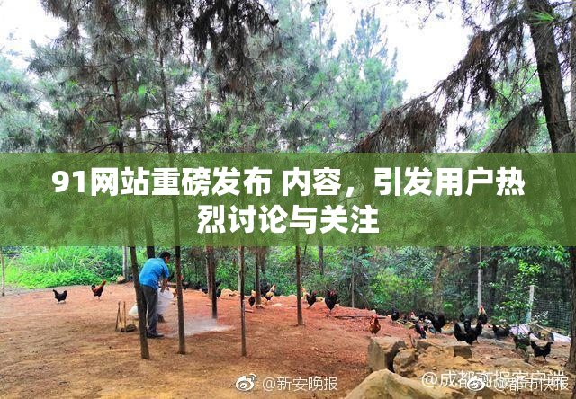 91网站重磅发布 内容，引发用户热烈讨论与关注