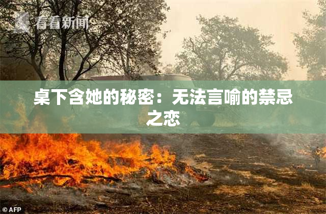 桌下含她的秘密：无法言喻的禁忌之恋