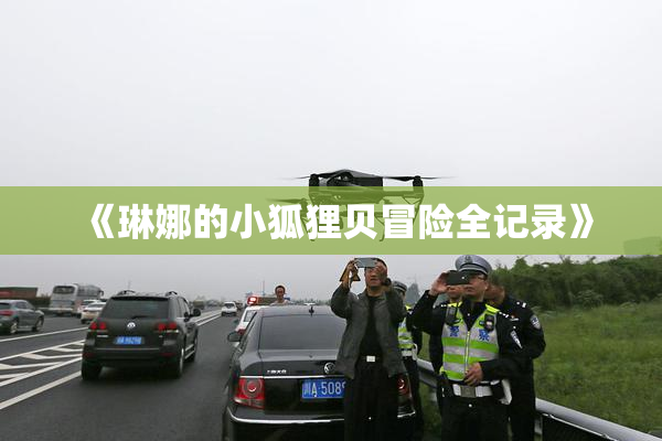《琳娜的小狐狸贝冒险全记录》