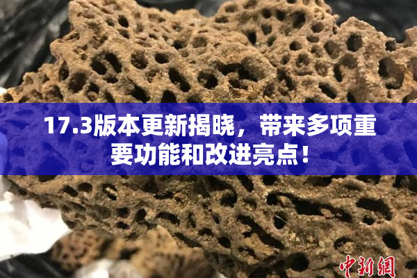 17.3版本更新揭晓，带来多项重要功能和改进亮点！