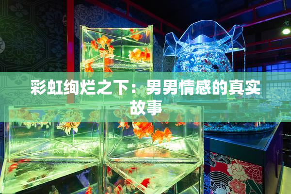 彩虹绚烂之下：男男情感的真实故事