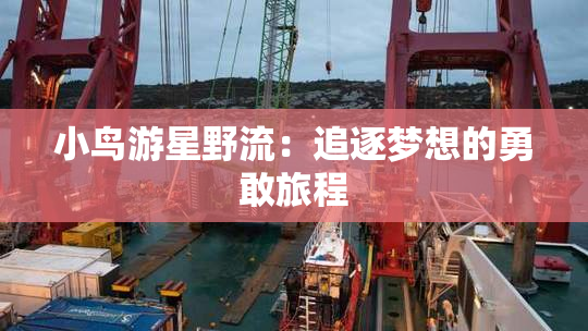 小鸟游星野流：追逐梦想的勇敢旅程
