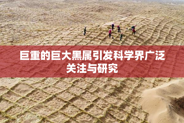巨重的巨大黑属引发科学界广泛关注与研究
