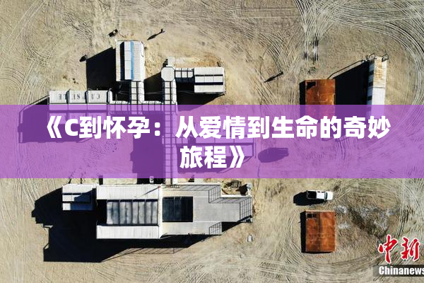 《C到怀孕：从爱情到生命的奇妙旅程》