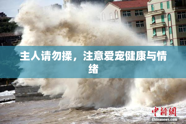 主人请勿揉，注意爱宠健康与情绪