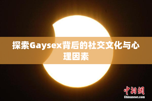探索Gaysex背后的社交文化与心理因素