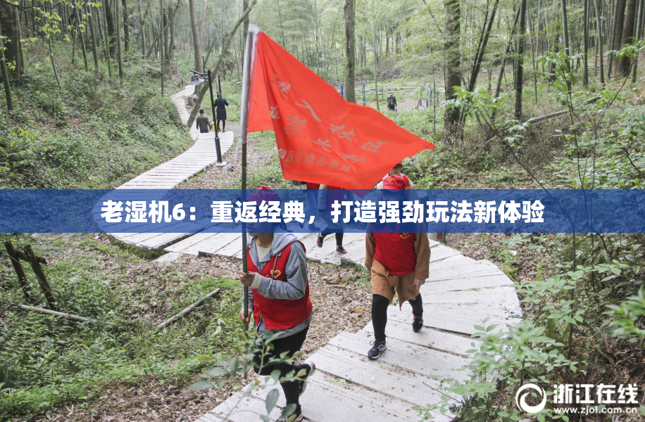 老湿机6：重返经典，打造强劲玩法新体验