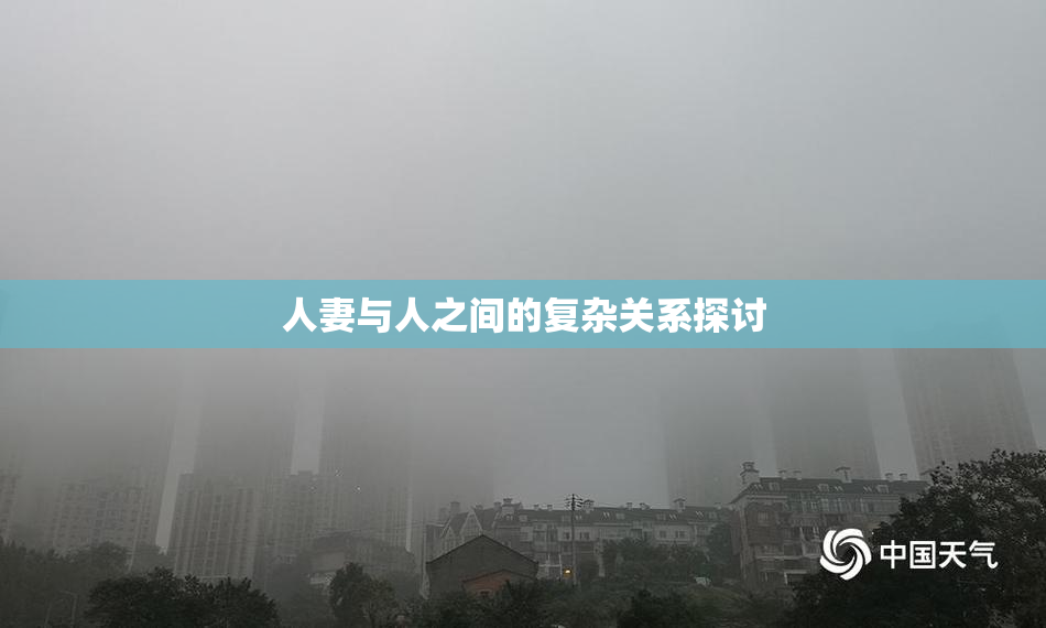 人妻与人之间的复杂关系探讨