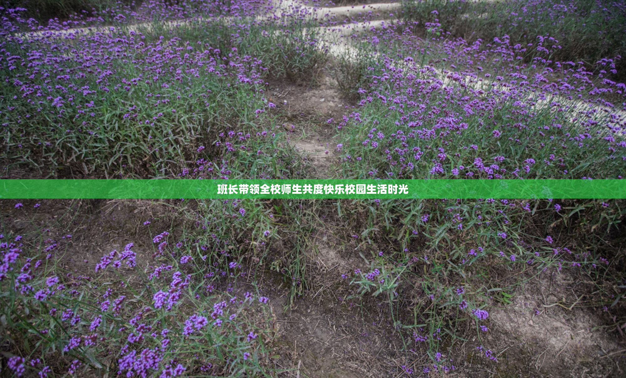 班长带领全校师生共度快乐校园生活时光