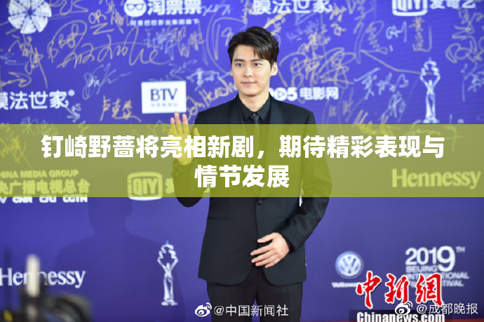 钉崎野蔷将亮相新剧，期待精彩表现与情节发展