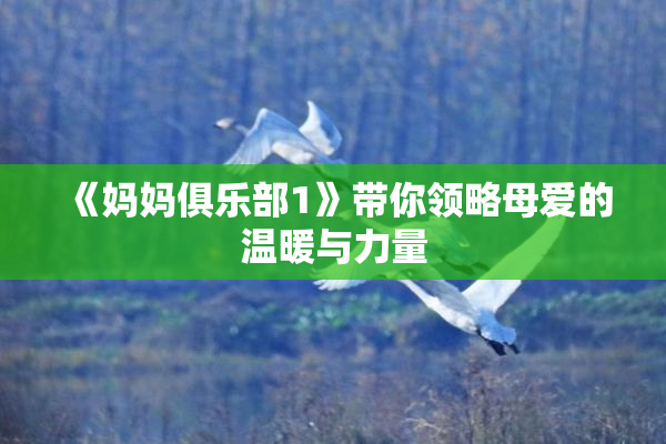《妈妈俱乐部1》带你领略母爱的温暖与力量
