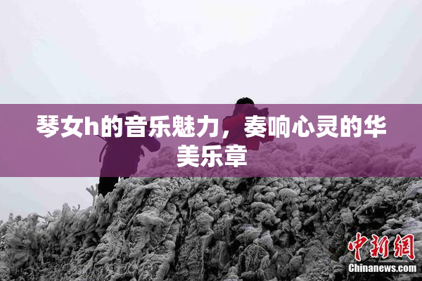 琴女h的音乐魅力，奏响心灵的华美乐章