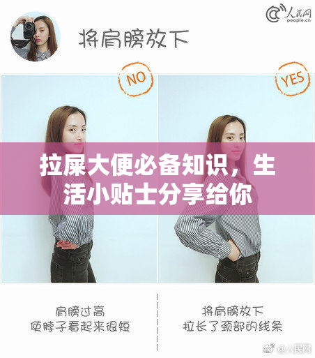 拉屎大便必备知识，生活小贴士分享给你