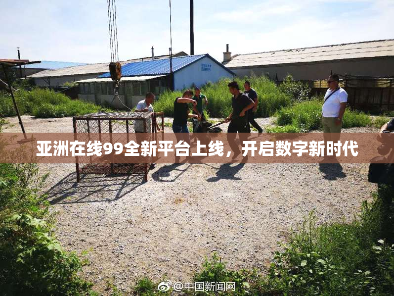 亚洲在线99全新平台上线，开启数字新时代