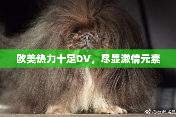 欧美热力十足DV，尽显激情元素