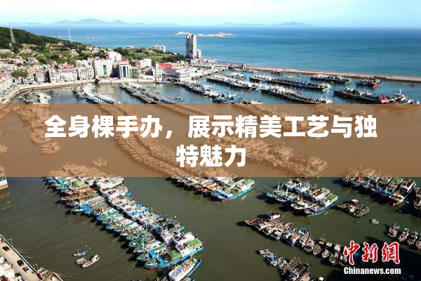 全身棵手办，展示精美工艺与独特魅力