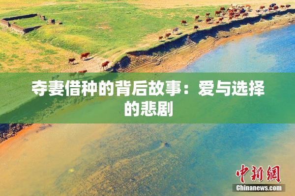 夺妻借种的背后故事：爱与选择的悲剧