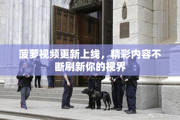 菠萝视频更新上线，精彩内容不断刷新你的视界