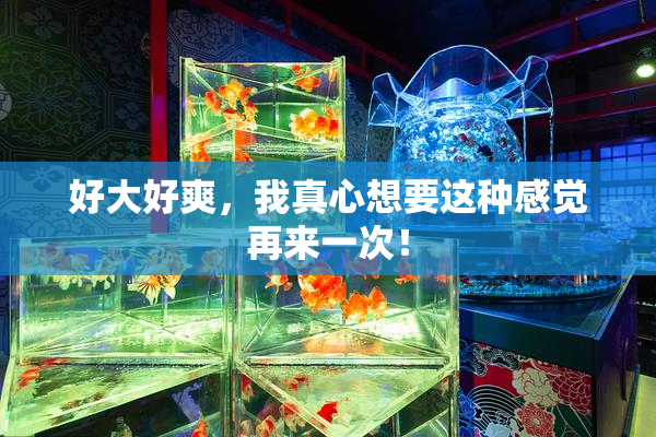 好大好爽，我真心想要这种感觉再来一次！