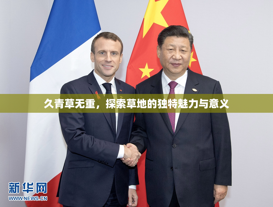久青草无重，探索草地的独特魅力与意义