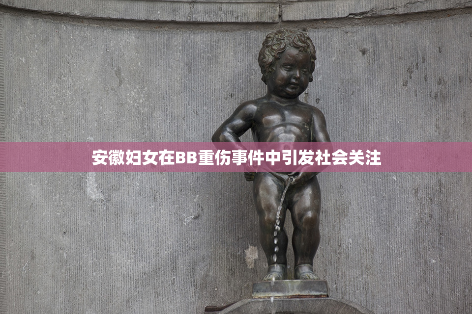 安徽妇女在BB重伤事件中引发社会关注