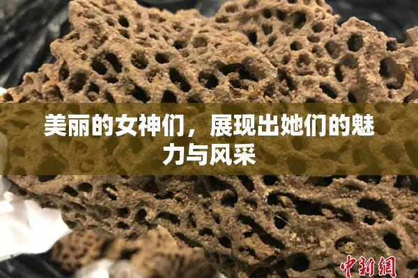 美丽的女神们，展现出她们的魅力与风采