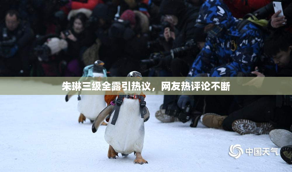 朱琳三级全露引热议，网友热评论不断
