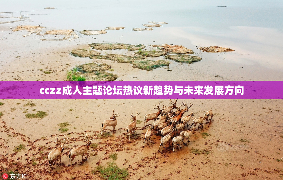 cczz成人主题论坛热议新趋势与未来发展方向