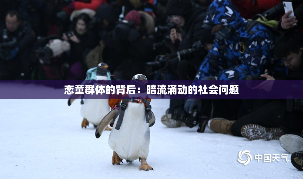 恋童群体的背后：暗流涌动的社会问题